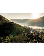 Wachau Wina Austrii