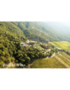 Casablanca Valley - Regiony Winiarskie - Sklep z Winem Bachus