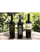 Apalta Valley Colchagua Chile - Regiony Winiarskie - Sklep z Winem Bachus
