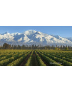 Mendoza - Regiony Winiarskie - Sklep z Winem Bachus