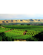 Barossa Valley - Australia - Regiony Winiarskie - Sklep z Winem Bachus