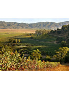 Curico Valley Chile - Regiony Winiarskie - Sklep z Winem Bachus