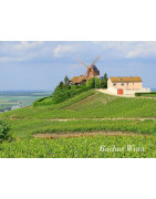 Szampania Region Champagne - Regiony Winiarskie - Sklep z Winem Bachus