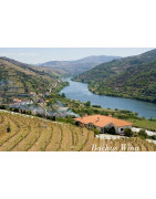 Douro Wina Portugalskie - Regiony Winiarskie - Sklep z Winem Bachus