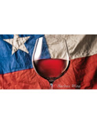 Chile Wina - Regiony Winiarskie - Sklep z Winem Bachus
