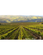 North Coast USA Wina - Regiony Winiarskie - Sklep z Winem Bachus