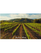 Sonoma County USA Wina - Regiony Winiarskie - Sklep z Winem Bachus
