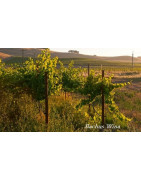 Lake County USA Wina - Regiony Winiarskie - Sklep z Winem Bachus