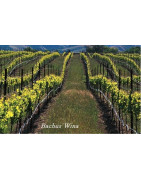 South Coast USA Wina - Regiony Winiarskie - Sklep z Winem Bachus