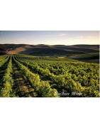 Washington USA Wina - Regiony Winiarskie - Sklep z Winem Bachus