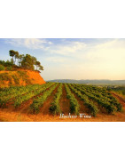 Penedes Wina - Regiony Winiarskie - Sklep z Winem Bachus