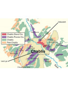 Chablis - Regiony Winiarskie - Sklep z Winem Bachus