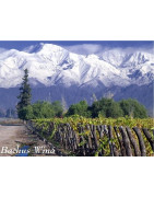 Maipo Valley - Regiony Winiarskie - Sklep z Winem Bachus