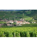 Pouilly-Fuissé - Bourgogne - Regiony Winiarskie - Sklep z Winem Bachus