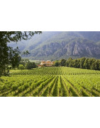 Trentino Trydent - Regiony Winiarskie - Sklep z Winem Bachus