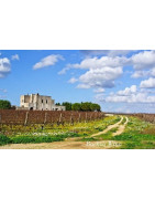 Salento Wina - Regiony Winiarskie - Sklep z Winem Bachus