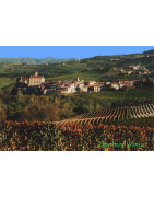 Katalonia (Catalan wine) - Regiony Winiarskie - Sklep z Winem Bachus