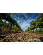La Conca de Barbera Catalonia - Regiony Winiarskie - Sklep z Winem Bachus