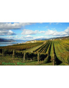 Rias Baixas - Regiony Winiarskie - Sklep z Winem Bachus
