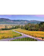 Napa Valley California - Regiony Winiarskie - Sklep z Winem Bachus