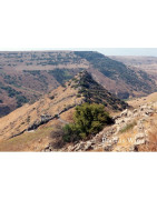 Wzgórza Golan Wina Izraelskie - Regiony Winiarskie - Sklep z Winem Bachus