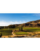 Central Otago Nowa Zelandia - Regiony Winiarskie - Sklep z Winem Bachus