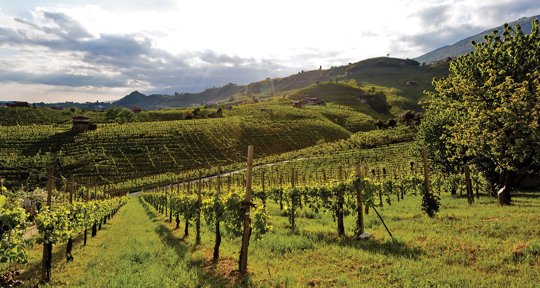 Bisol Prosecco