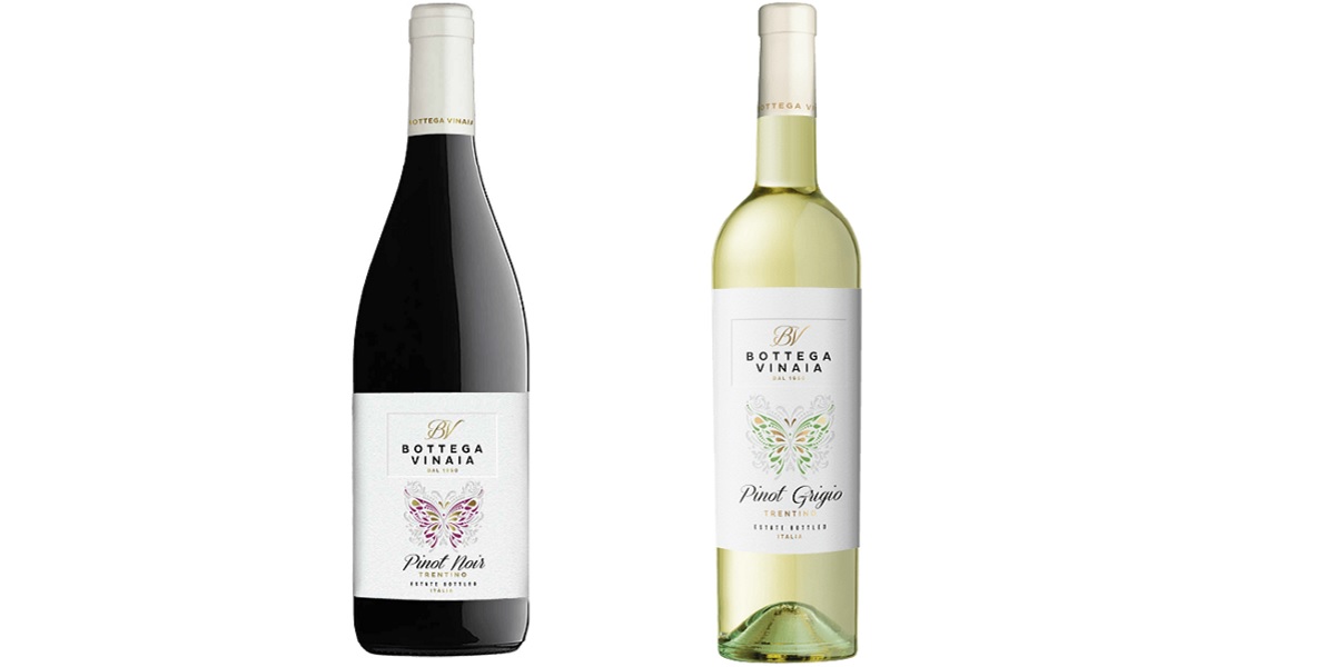 Bottega Vinaia Trentino Wina