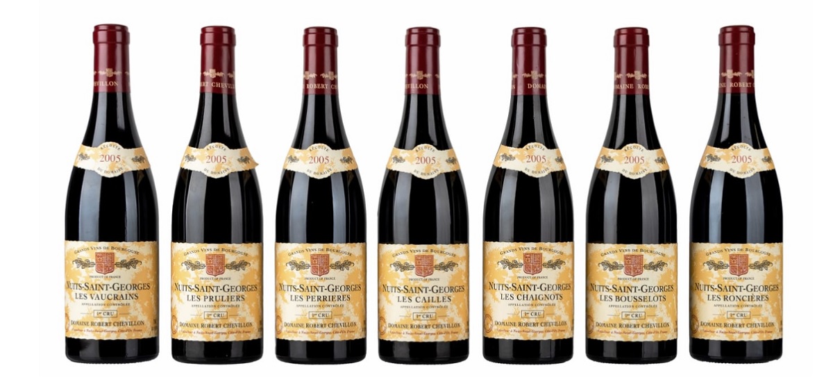 Domaine Chevillon Wina