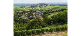 Laporte Sancerre Winery