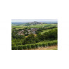 Laporte Sancerre Winery