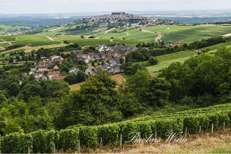 Laporte Sancerre Winery