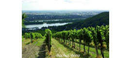 Weingut Mayer am Pfarrplatz Wina Austriackie