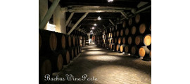 Sogevinus Fine Wines Porto