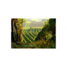 Weingut Herbert Zillinger wina Austriackie