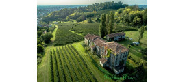 Vinicola Serena Veneto