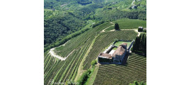 Tenute Salvatera Valpolicella