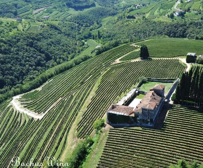 Tenute Salvatera Valpolicella