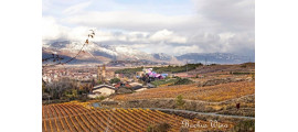 Marques de Riscal Rioja