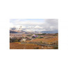 Marques de Riscal Rioja