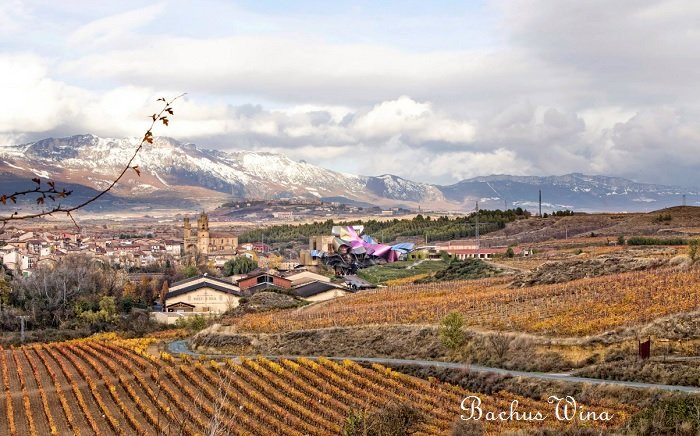 Marques de Riscal Rioja