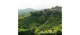 Cantina Montellina Veneto