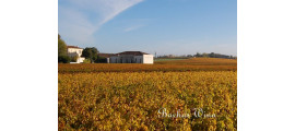 Chateau Haut Bages Liberal