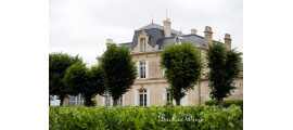 Domaines Delon Château Nénin