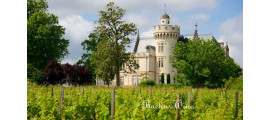 Chateau Pape Clement