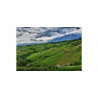 Tenuta Ulisse wina Abruzji