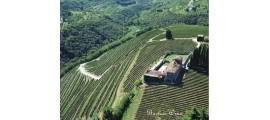 Tenute SalvaTerra Veneto