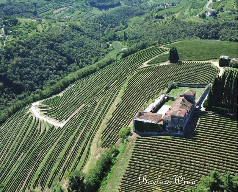 Tenute SalvaTerra Veneto