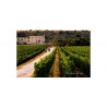 Masseria La Volpe