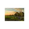 Mc Pherson wines z Australii